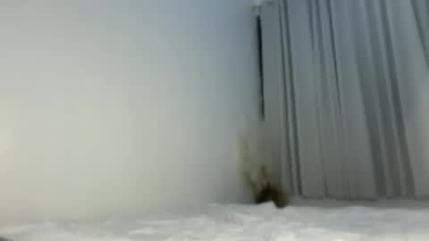 Snapshot of sassykayla chatting on 05-15-26, 01:07 sassykayla online show from 05-15-26, 01:07