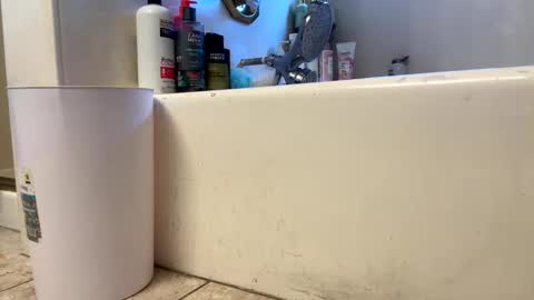 ElVergone online show from 03-01-26, 11:40