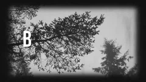 pronoun she. name Mary. age 21. online show from 03-19-26, 11:31