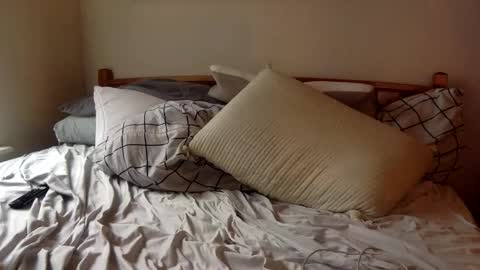 Stripper in Training online show from 02-11-26, 06:24