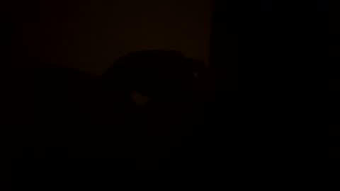 sc377003 online show from 03-11-25, 02:54