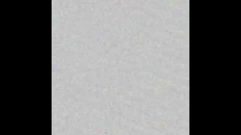 Venus online show from 11-16-25, 02:00