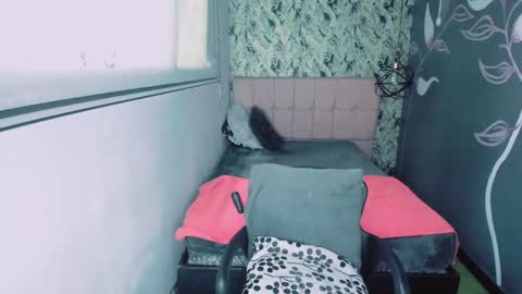 S C A R L E T online show from 01-15-25, 11:53