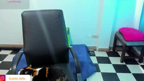 Scarlett online show from 03-19-26, 08:57