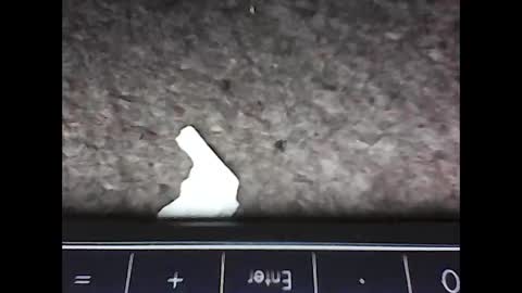 Snapshot of scots_repeater chatting on 02-14-25, 12:09 scots_repeater online show from 02-14-25, 12:09