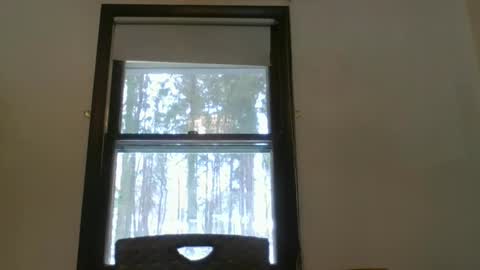 scottpbi52 online show from 02-15-25, 05:28