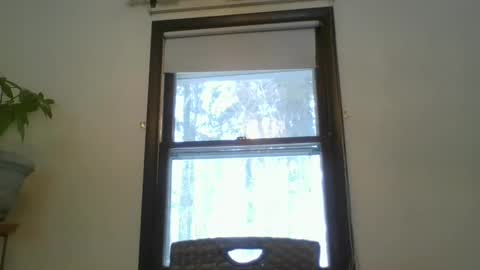 scottpbi52 online show from 02-20-25, 01:30