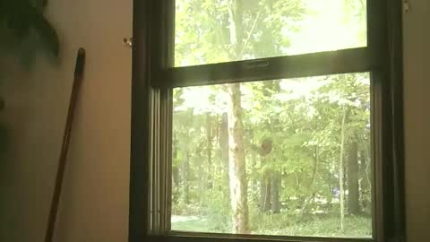 scottpbi52 online show from 09-15-25, 04:29