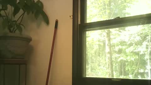 scottpbi52 online show from 09-27-25, 03:39