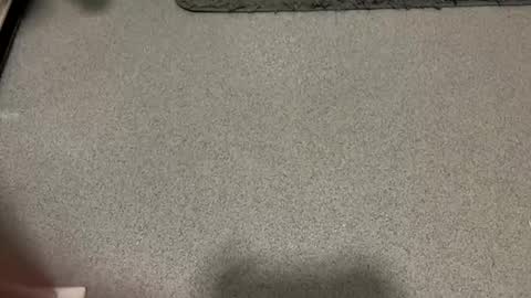 scottyc48 online show from 12-01-25, 02:11