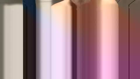 sdriv33390317 online show from 03-30-26, 11:22