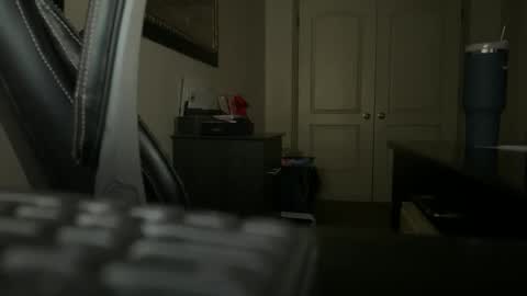 Snapshot of seanjohnsen chatting on 12-31-24, 01:52 seanjohnsen online show from 12-31-24, 01:52