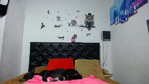 Snapshot of sebastian_posse chatting on 01-21-25, 02:22 Myystiic online show from 01-21-25, 02:22
