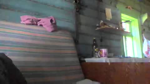 Snapshot of sechenov_clear chatting on 06-06-26, 08:30 hiroshi satanaka online show from 06-06-26, 08:30