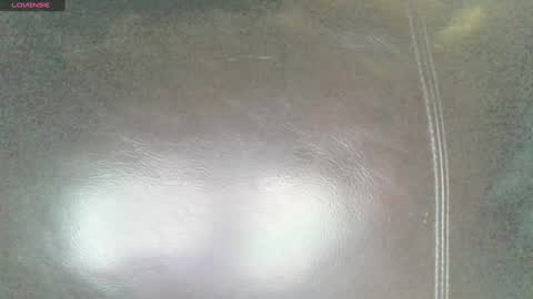 Sunny online show from 01-29-25, 04:58