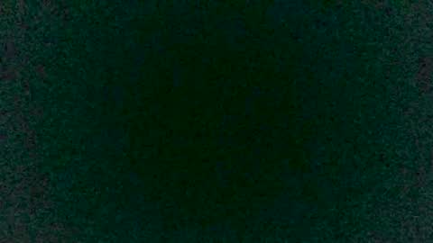 Sunny online show from 03-12-25, 09:03