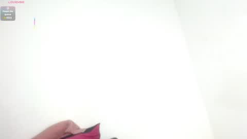 Estefany online show from 07-11-26, 11:46
