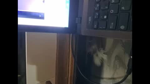 segaiolo21cm online show from 04-13-26, 09:31