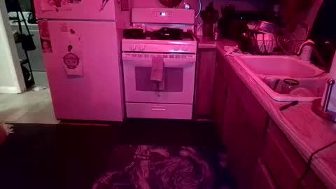 Snapshot of sekriyu chatting on 03-28-26, 10:15 Sekriyu online show from 03-28-26, 10:15