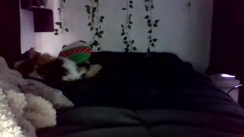 Lauren online show from 04-22-26, 09:16