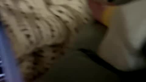 Snapshot of senecathestoic25 chatting on 02-09-26, 03:54 senecathestoic25 online show from 02-09-26, 03:54