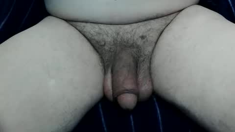 serviceforu here just for fun online show from 05-31-26, 09:49