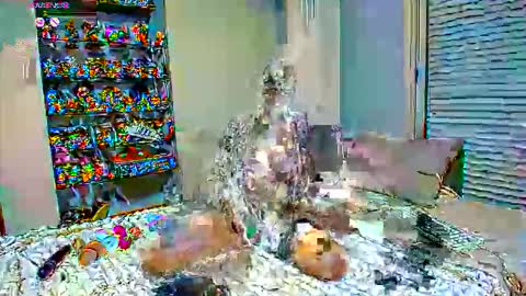 Sexapoly online show from 03-17-26, 06:55