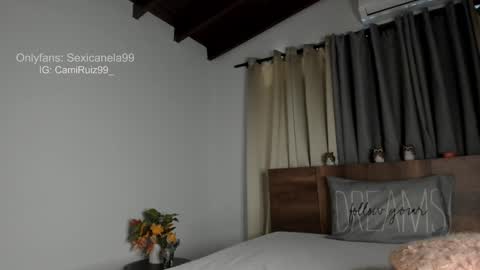 ... Camila ... online show from 01-28-25, 04:52