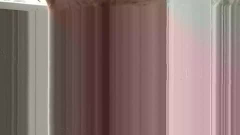Snapshot of sexland0071 chatting on 01-18-26, 06:06 Sexland online show from 01-18-26, 06:06