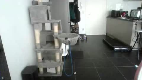 Snapshot of sexy866880 chatting on 02-17-26, 10:45 sexy53 online show from 02-17-26, 10:45