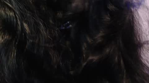 Snapshot of sexy_impact chatting on 01-15-25, 03:33    online show from 01-15-25, 03:33