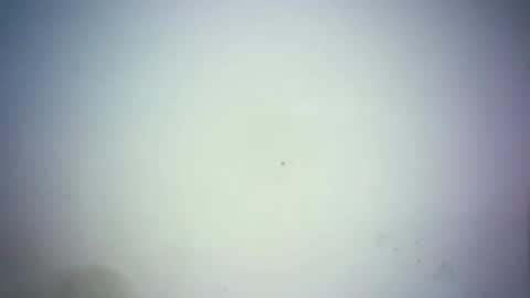 Snapshot of sexy_joy77 chatting on 03-25-26, 02:34 sweetjoy9 online show from 03-25-26, 02:34