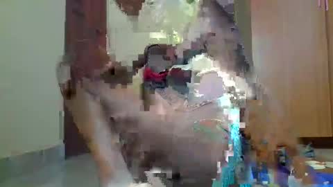 Snapshot of sexybilha483 chatting on 02-22-25, 11:57 Sexybilha483 online show from 02-22-25, 11:57