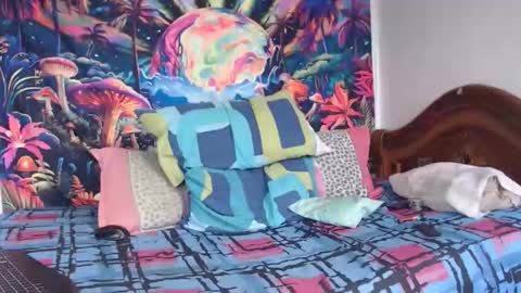 Snapshot of sexydarkhunter2 chatting on 01-14-26, 04:56 Mike online show from 01-14-26, 04:56