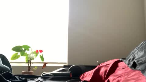 Snapshot of sexyhornyman1993 chatting on 06-02-26, 05:59 sexyhornyman1993 online show from 06-02-26, 05:59