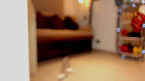 Snapshot of sexykata_s chatting on 12-29-24, 06:03 katalina larson online show from 12-29-24, 06:03