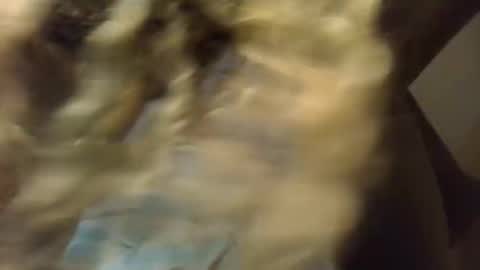 SexyKitty online show from 11-21-25, 05:50