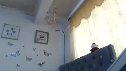 Venus Independent Model online show from 12-10-24, 04:27