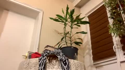 Anya online show from 01-22-25, 08:17