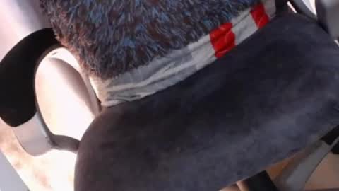    online show from 02-07-25, 05:10