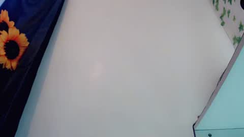 Snapshot of sexyshinixx chatting on 10-03-25, 06:32 sexyshinixx online show from 10-03-25, 06:32