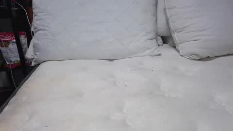 sexystephanie04 online show from 04-13-26, 10:26