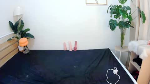 Snapshot of sexytrixie11 chatting on 06-22-26, 03:47 sexytrixie11 online show from 06-22-26, 03:47