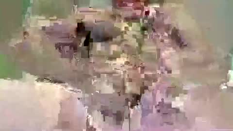 sfpleasure online show from 05-10-26, 11:43