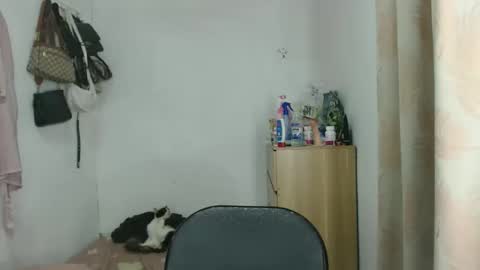 Snapshot of shanegreents chatting on 12-23-25, 02:31 bini aiah online show from 12-23-25, 02:31