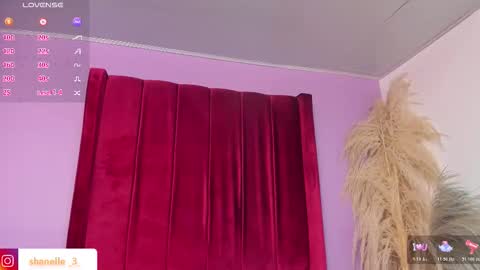 shanelle7 online show from 02-02-26, 01:54