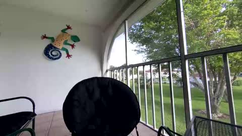 Snapshot of shannalicous chatting on 01-05-25, 08:52 Shannon Spears online show from 01-05-25, 08:52