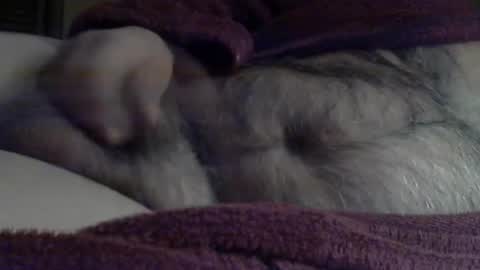 Snapshot of sharkey644 chatting on 03-03-26, 09:04 Sharkey644 online show from 03-03-26, 09:04