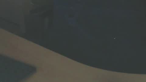 Snapshot of shaved164 chatting on 02-14-25, 04:52 Frans online show from 02-14-25, 04:52