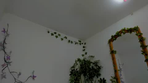 Snapshot of shegoblake chatting on 07-06-26, 12:18 Shego online show from 07-06-26, 12:18